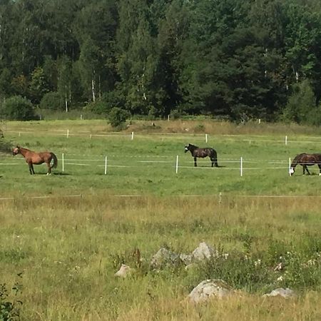 Egen Laegenhet I 2-Familjshus Pa Landet. Villa Tierp Dış mekan fotoğraf