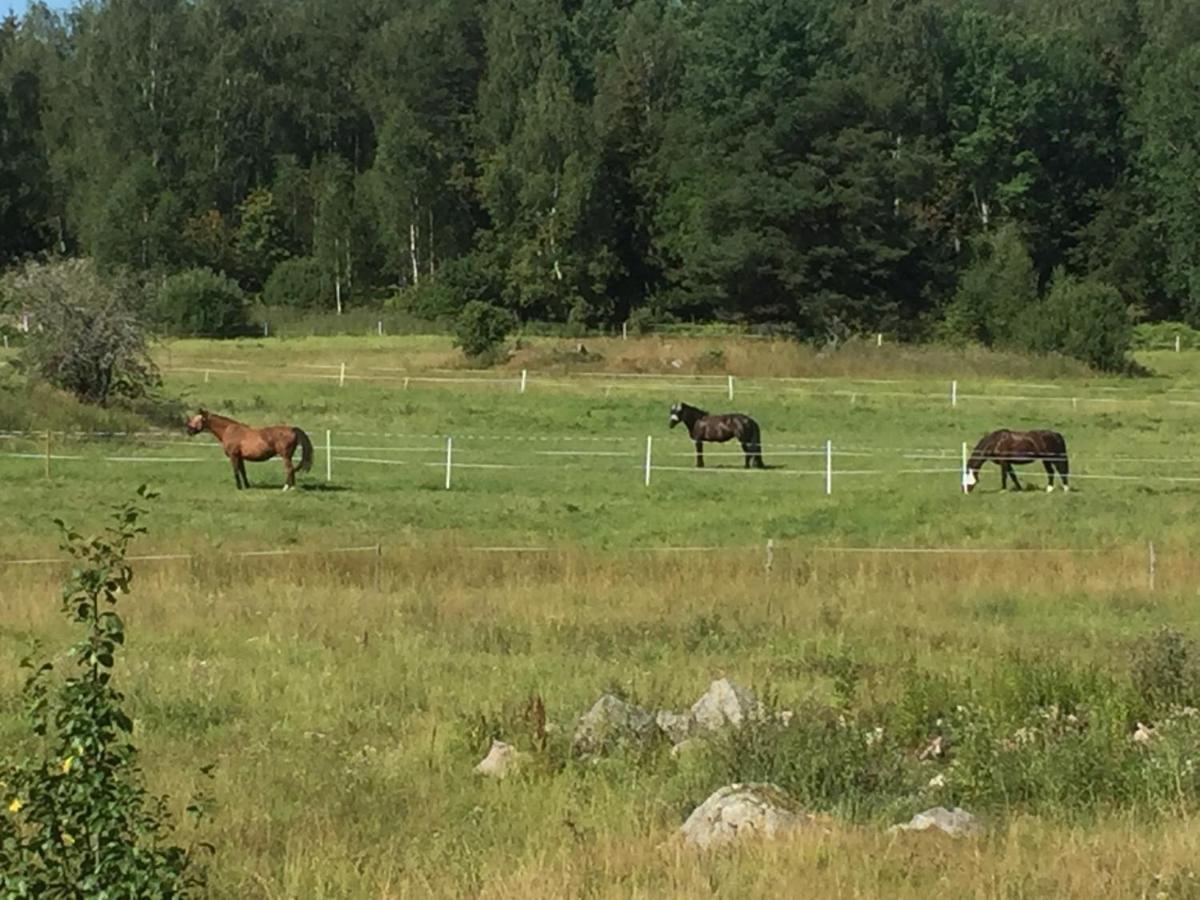 Egen Laegenhet I 2-Familjshus Pa Landet. Villa Tierp Dış mekan fotoğraf